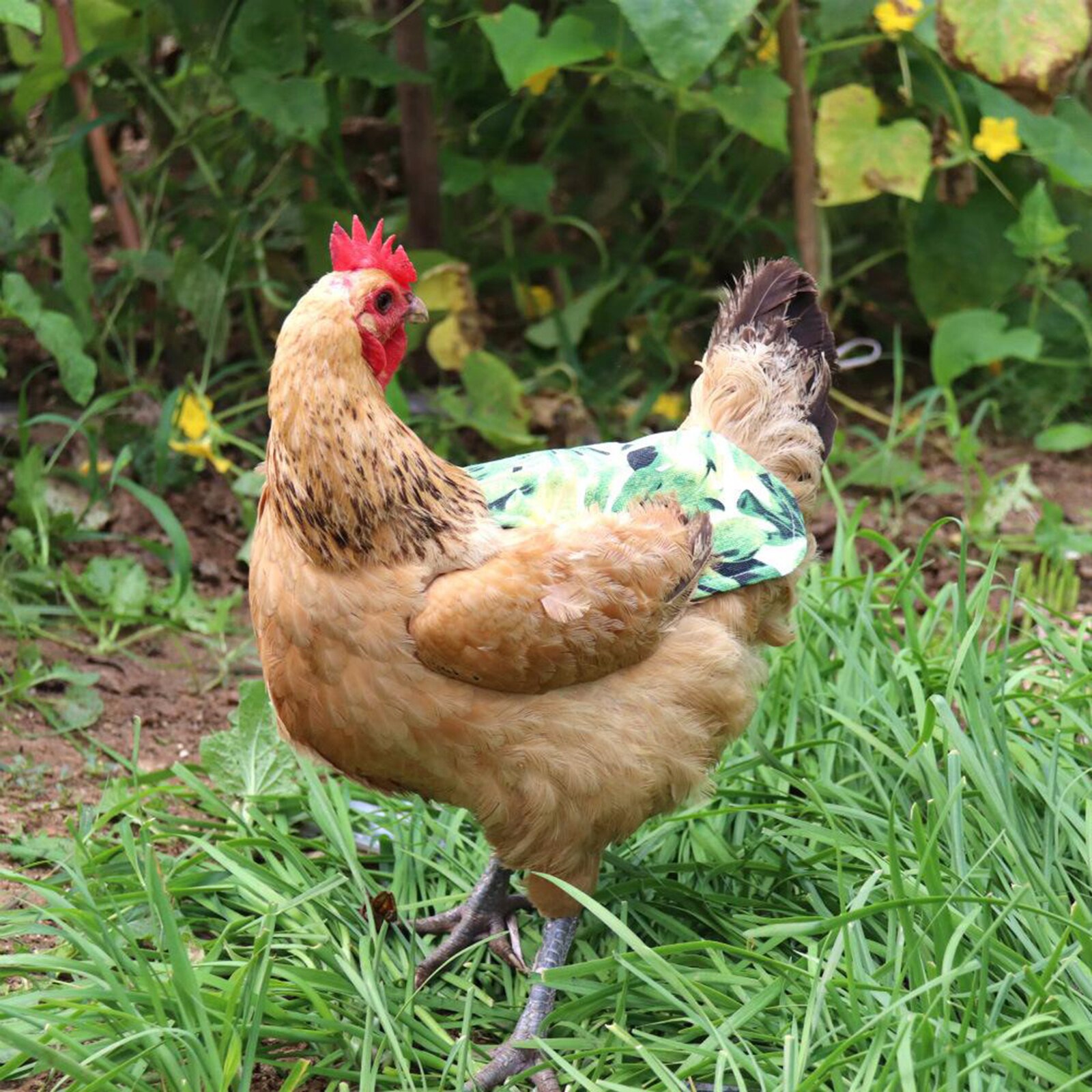 Gewatteerde Fabrci Hen Schort Kip Zadel Terug Protector Pluimvee Supplies