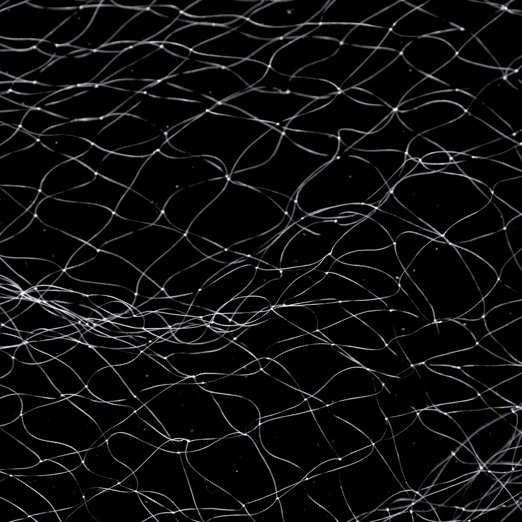 Fishing Gill Net Fish Gillnet Baits Castiing Mesh Traps for Fishermen 8/22m