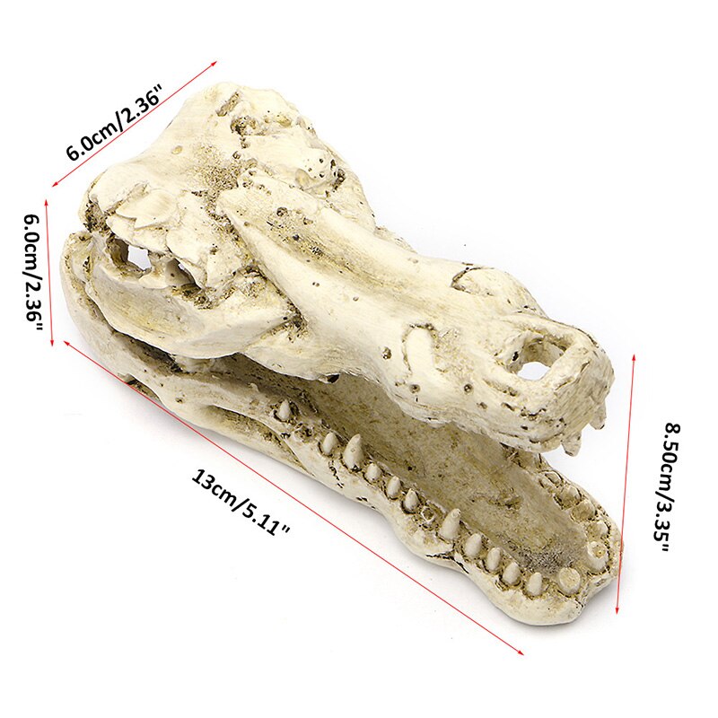 Crocodile Skull Artificial Decor Ornament Decoration for Aquarium Tank Fish 5" good