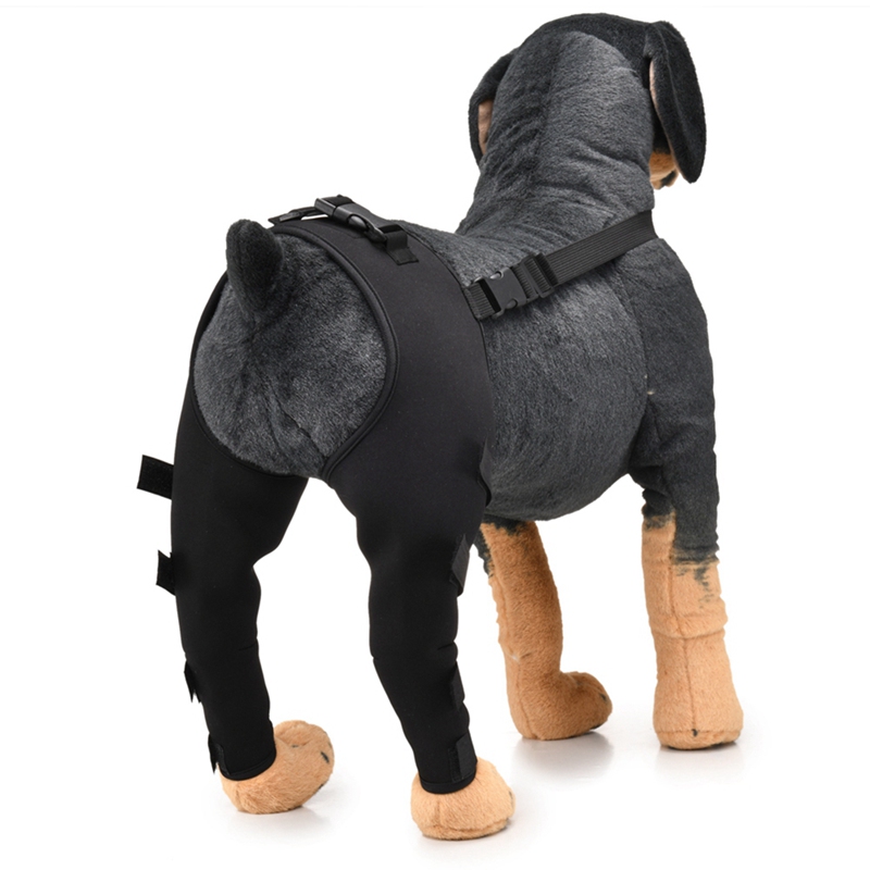 Xs-l sällskapshund stöd skydd ärm bandage hund andas armbågsdyna stöd stag för bakbenet ledinpackning skada återhämta ben
