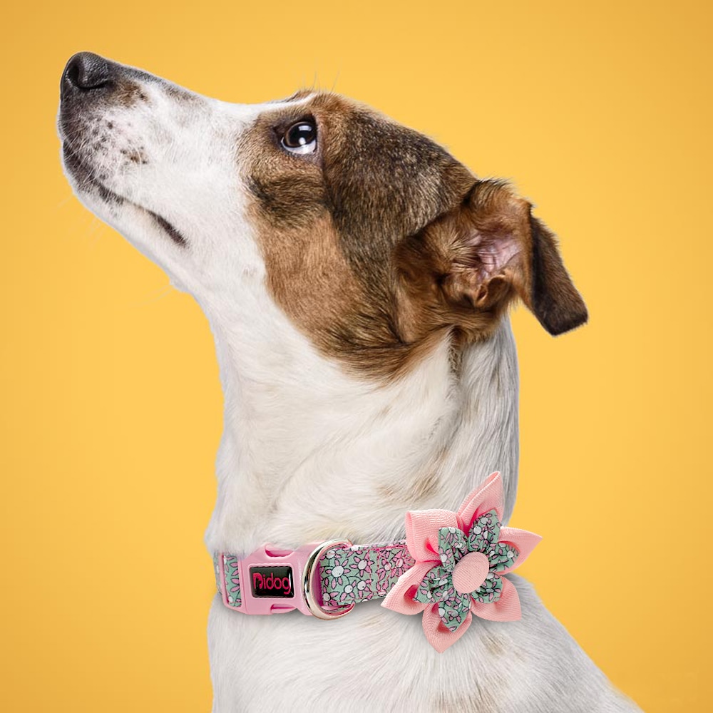 Cute Dog Collar Adjustable Pet Chihuahua Puppy Collar Printed Dog Accessories For Small Medium Large Dogs Pug Beagle Petshop M L