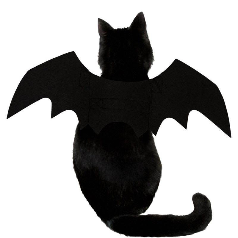 1Halloween Huisdier Vleermuis Vleugels Grappige Katten Cosplay Kostuum Kat Vleermuis Kostuum Fit Party Honden Katten Spelen Huisdier Accessoires #