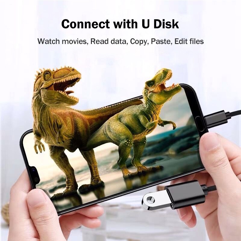USB al tipo-C OTG adaptador de Cable para Samsung Galaxy Nota 8 9 10 20 S8 S9 S10 S10E S20 S21 Plus Ultra Lite + 5G USB-C OTG convertidor