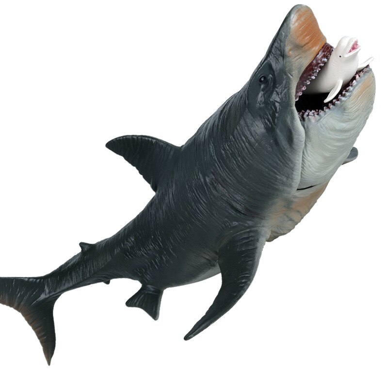 Simulation Hai Modell freundlicher Große Marine Ebene Spielzeug Realistische Biologische Megalodon Meer Quaddel freundlicher Pädagogisches Spielzeug