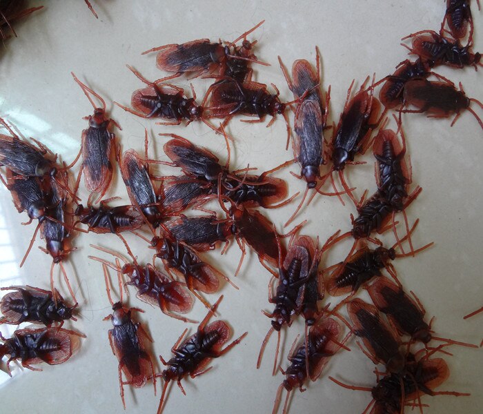 Aprilskämt leksaker knepigt hel människa hem kackerlacka simulering mört läskiga insekter