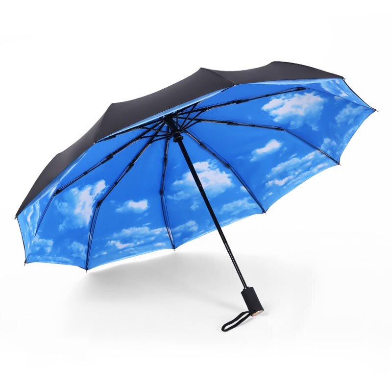 Double Windproof Fold Automatic Umbrella Rain Woman Automatic Weatherproof Rain Men Black Coating Parasols 10 Skeletons 5 Style: 5