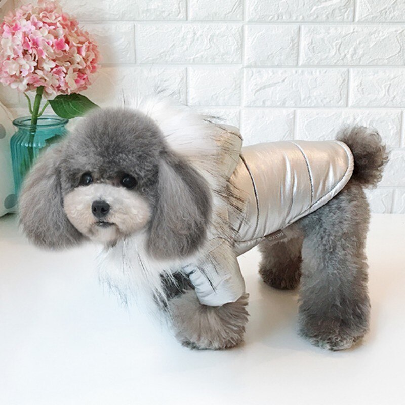 Varm hund tøj vinter hund pels krave frakke hætteklædte dunjakke hvalp outfits til chihuahua yorkie hund tøj kæledyr tøj