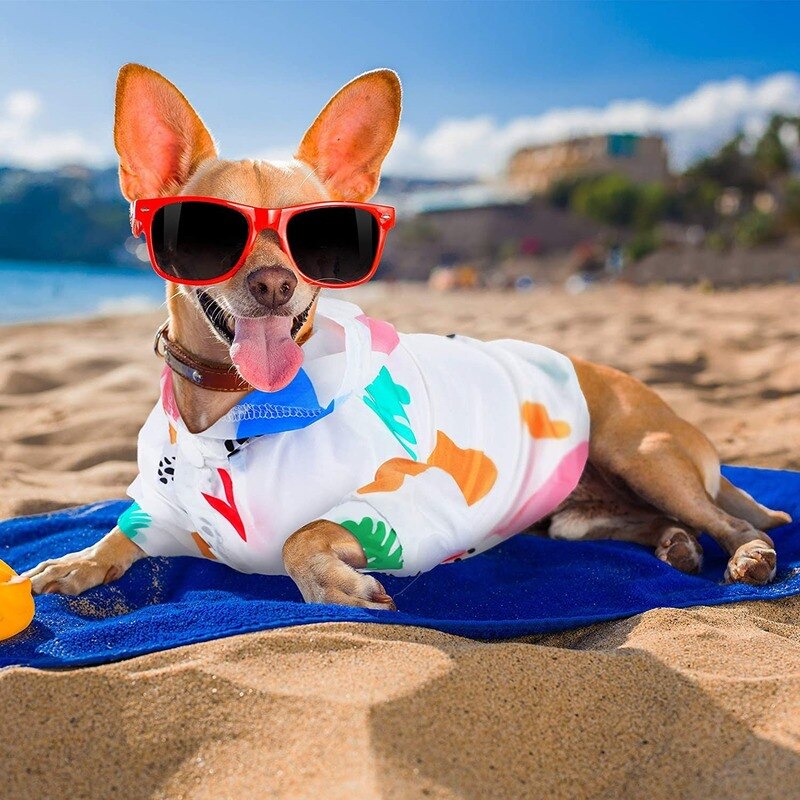 Hond Regenjas Ultra-Dunne Zon Bescherming Kleding Teddy Vip Pomeranian Kleine En Middelgrote Hond Huisdier Kleding Hond kleding