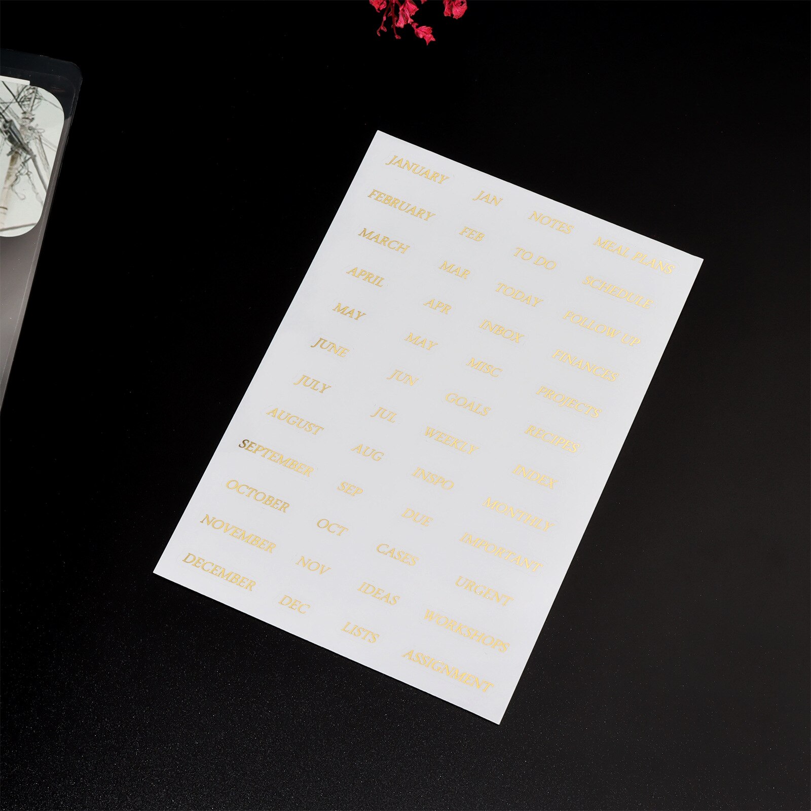 Sharkbang-separador de páginas para cuaderno, separador de índice de carpeta en espiral transparente, 6 agujeros, A5, A6, novedad: Gold sticker