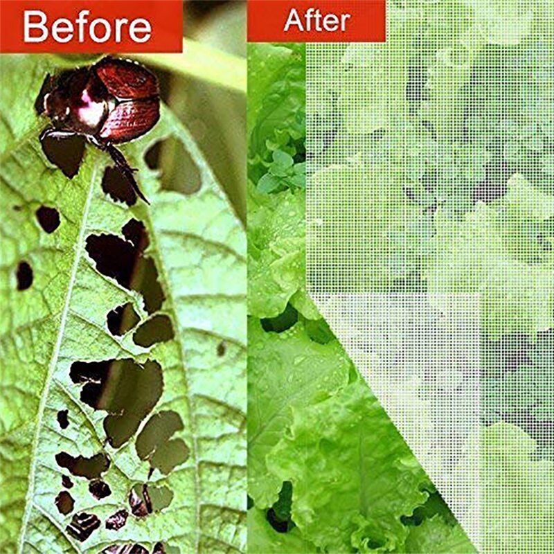 Mesh Greenhouse Vegetable Anti Insect Pest Fly Net Thickened Agricultural Breeding Garden Crop Plant Protection Cover Netting