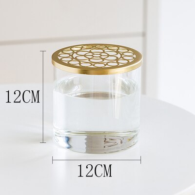 Nordic Transparent Glass Vase Golden Grid Cover Living Room Flower Arrangement Ikebana Decoration Desktop Hydroponic Plants Tool: F