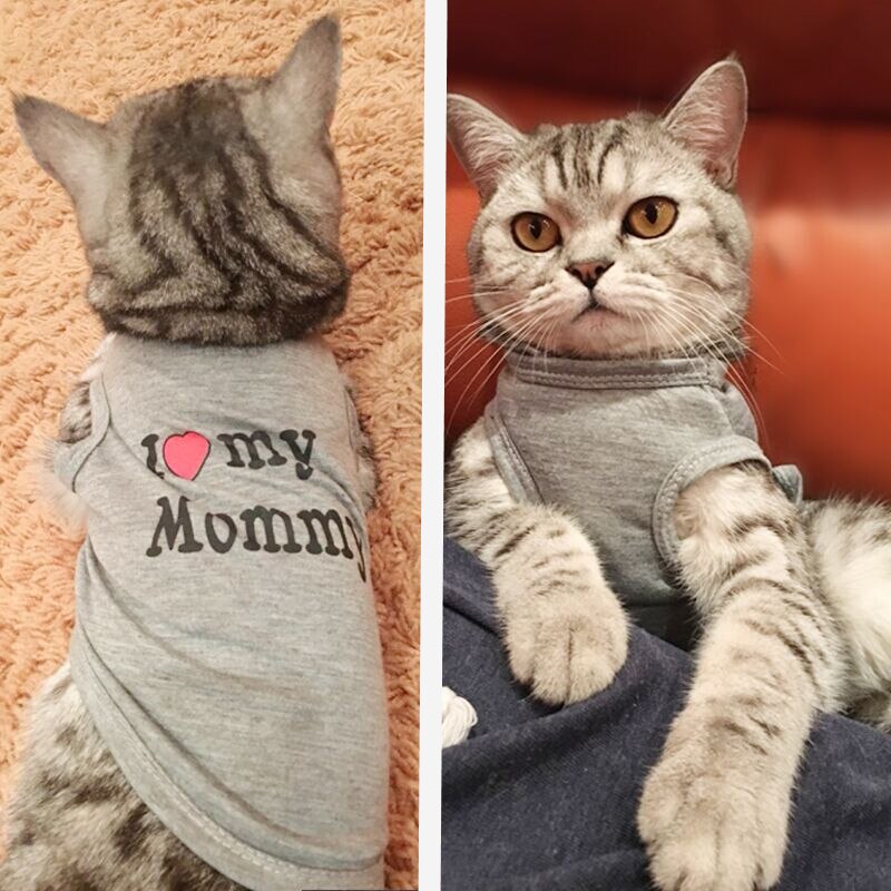 Mignon chien chat chemise vêtements pour animaux de compagnie printemps été gilet respirant pour chats petits chiens carlin chaton tenue