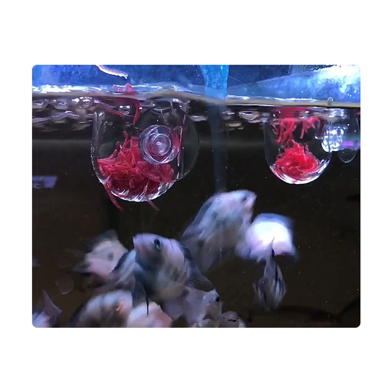 2Stck Aquarium rot Wurm Zubringer Fütterung Für Fisch Winkel Fisch Diskus Zubringer Live Wurm Blutwurm Futter Werkzeug