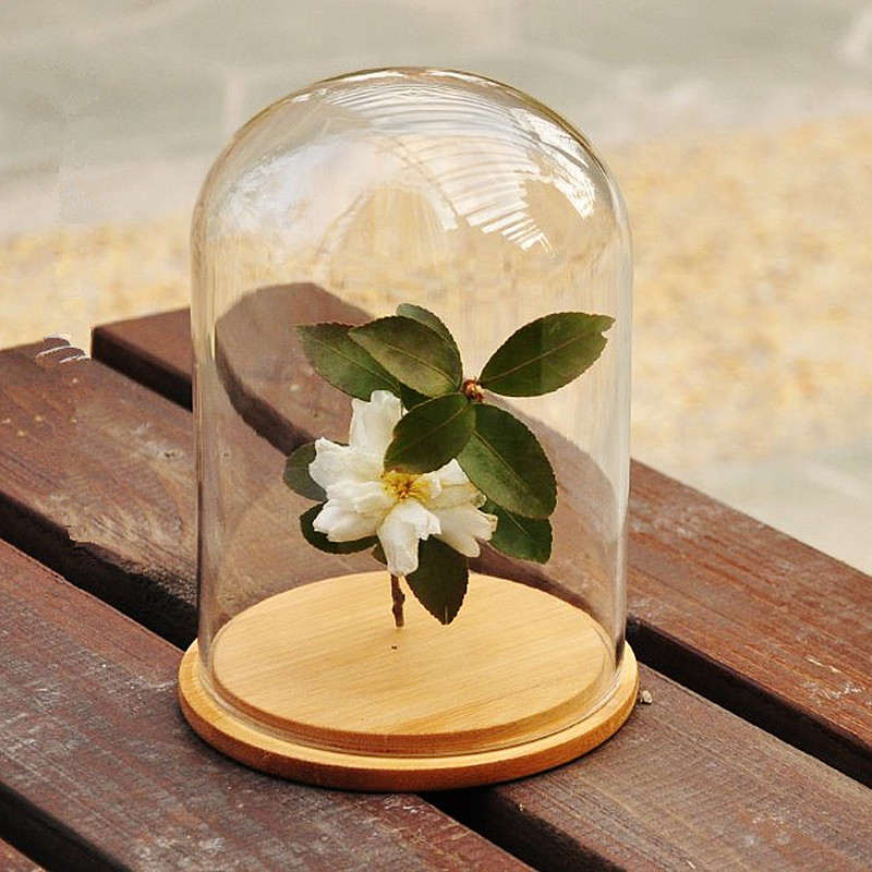 Glass Bell Jar Bell Gass Shade Flowers Glass Dome cap with Wood Base Home Decor decoration vases cover shaped transparent empty