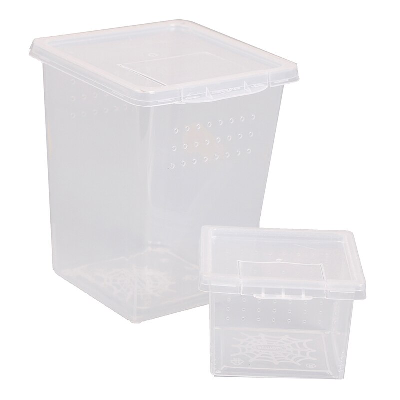Plastic Insect Spider Habitat Feeding Box Case Container Tank Transport Case Hatching Tank !