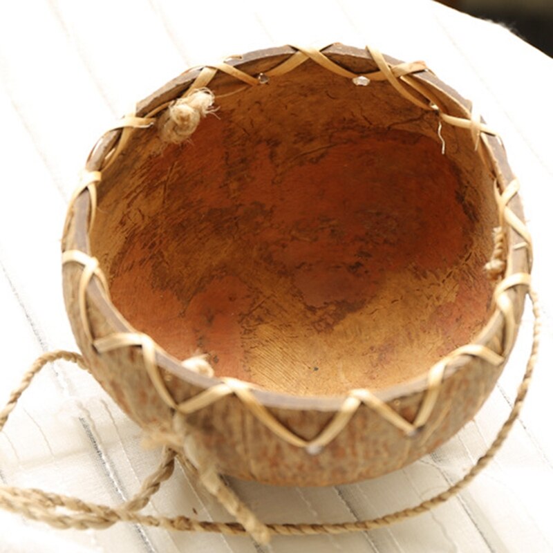 Coconut Shell Succulent Planter Pot Bonsai Flowerpot Planters for Succulents Hanging Pots for Plants Hang Plant Pot