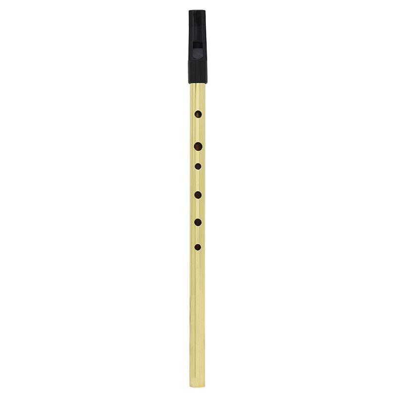 Silbato irlandés flauta irlandesa silbato de estaño clave de D Penny silbato 6 agujeros flauta Chanter Mini bolsillo instrumento Musical oro: Default Title