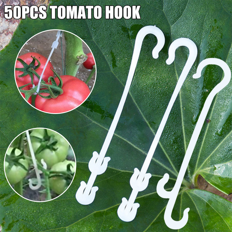 Gancho para la oreja con forma de J para fruta, cereza, tomate, jardín, planta vegetal, uva, soporte para vides, Clips de sujeción, enrejado, gancho de hebilla fija, 50 piezas