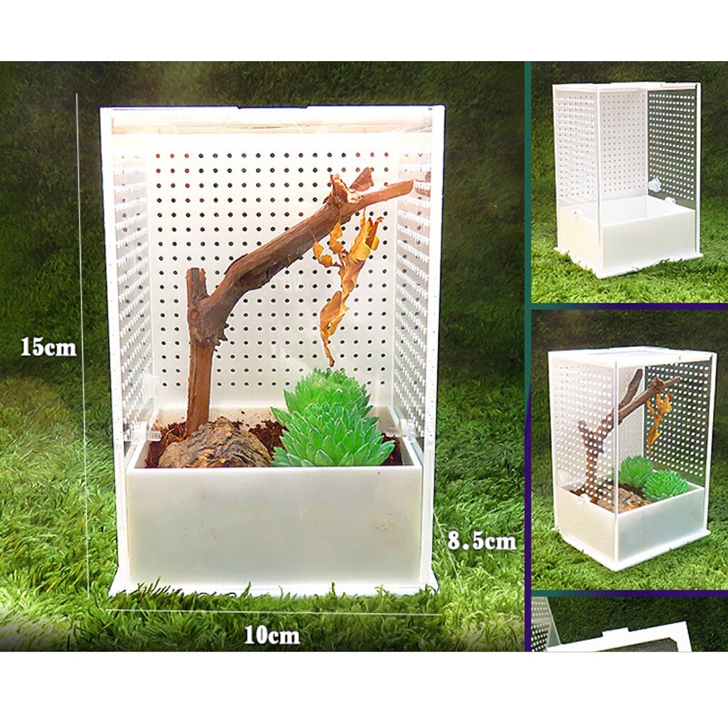 2x Acryl Box Insekt Reptil Zucht Fütterung Container Schildkröte Spinne