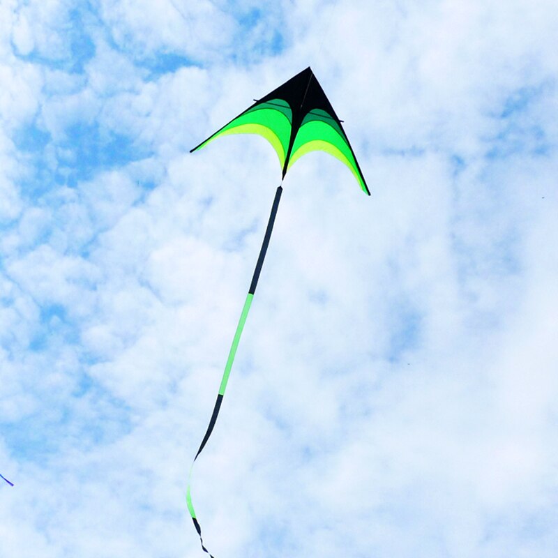 10 m vliegeren ripstop nylon outdoor cerf volant kite voor volwassenen kitesurf reel vogel kite – Grandado