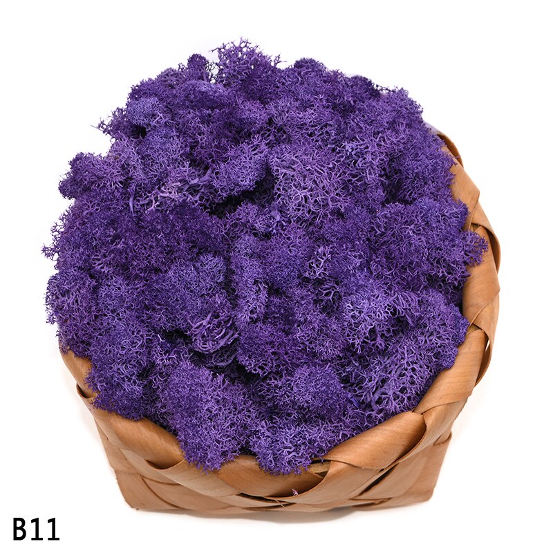 40g kunstige planter evigt liv mos mini have mikro landskab tilbehør boligindretning væg diy blomster materiale: B11