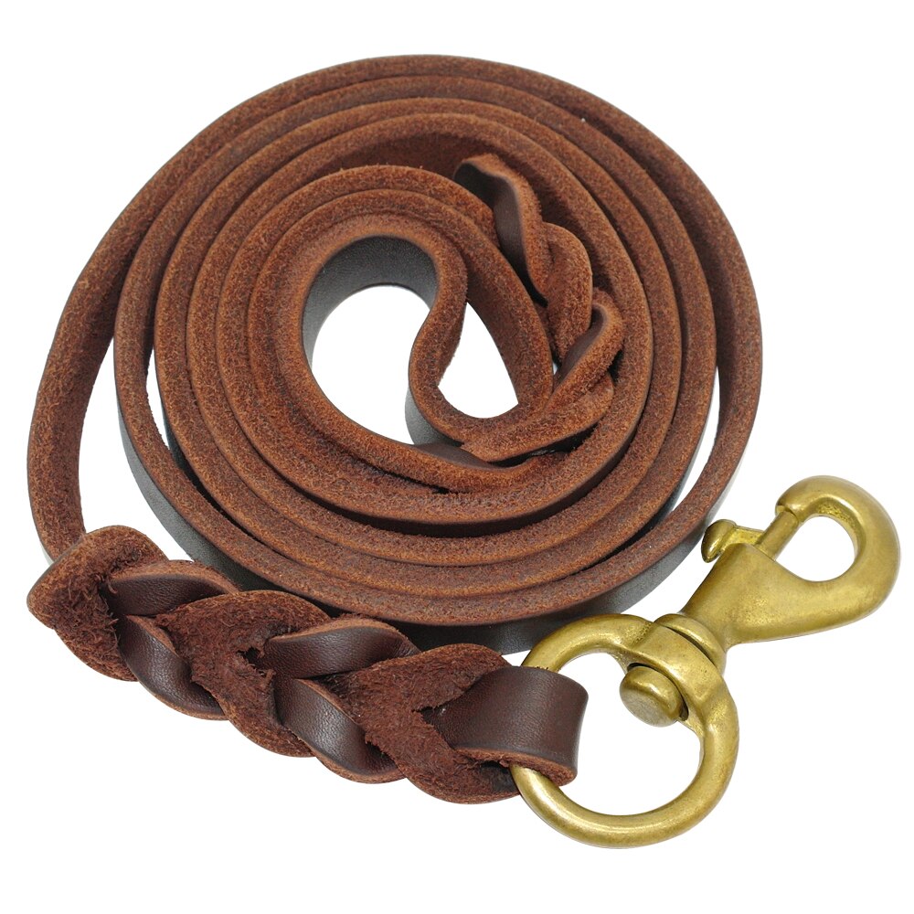 Flettet læder hundesnor kæledyrstræningssnor til mellemstore hunde schæferhundetræning: 12mm x 220cm / Brun