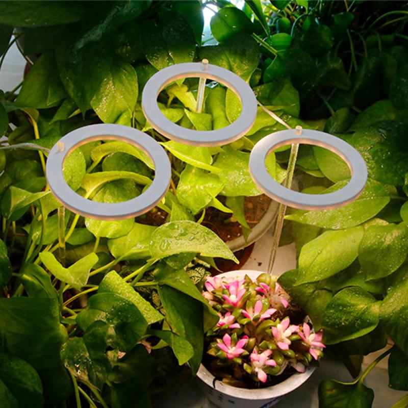 Luz LED de espectro completo para cultivo de plantas, lámpara Phyto Grow, USB, 5V, iluminación para crecimiento de plantas de interior