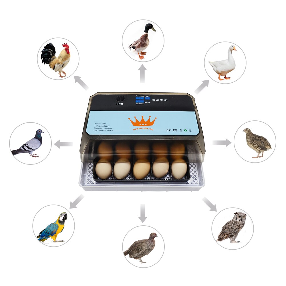 Affordable Good Chicken Duck Goose Incubator Mini 15Eggs Incubator Product For