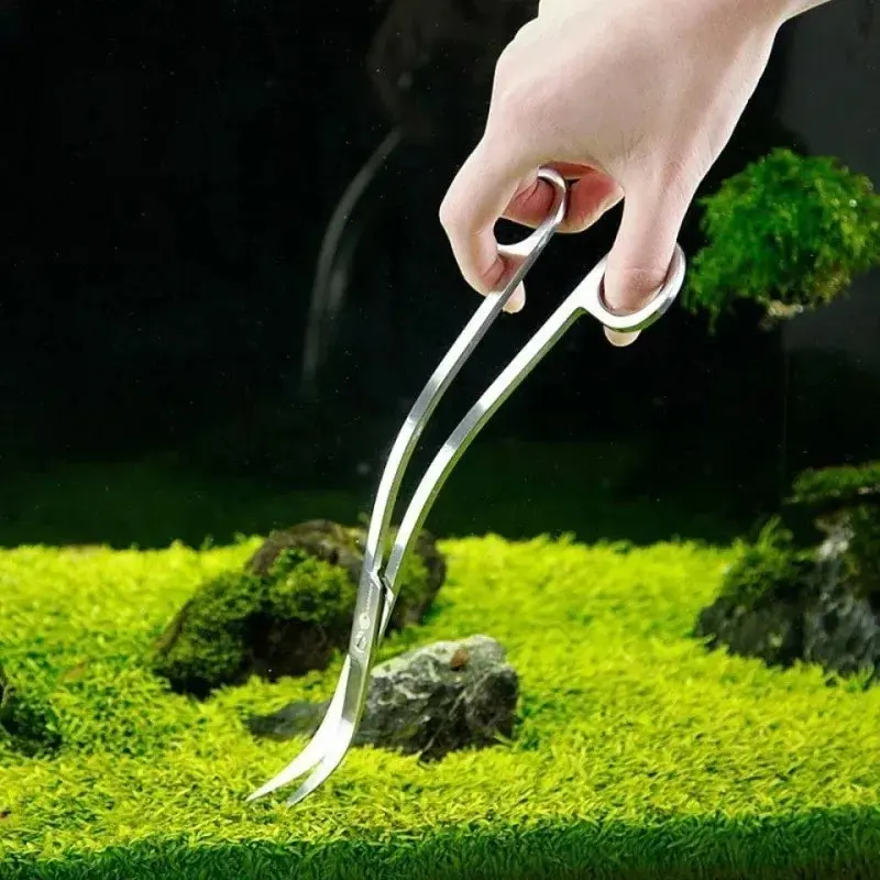 Ciseaux d'aquarium, outil de nettoyage Extra Long en acier inoxydable, outil Aquascape pour Aquarium