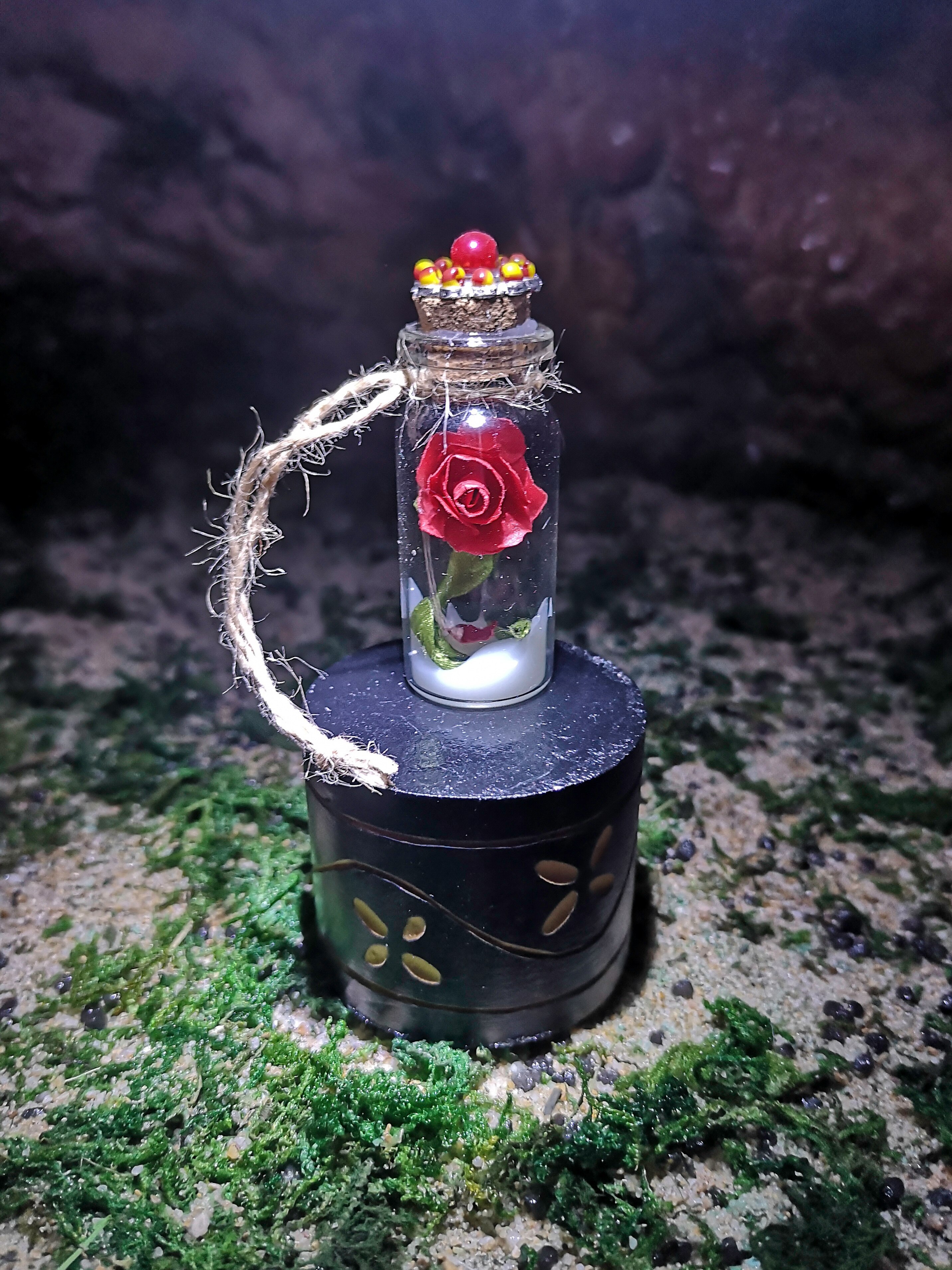 Eeuwige Rose. Tarrito Met Eeuwige Rose. Het Schijnt In Het Donker. Pot Met Een Eeuwige Rose Glow In The Dark.