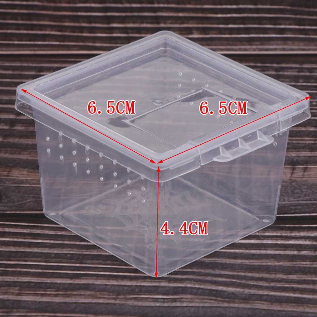 Caja de alimentación para jaula para reptil, Tortuga, araña y Terrario de lagartos