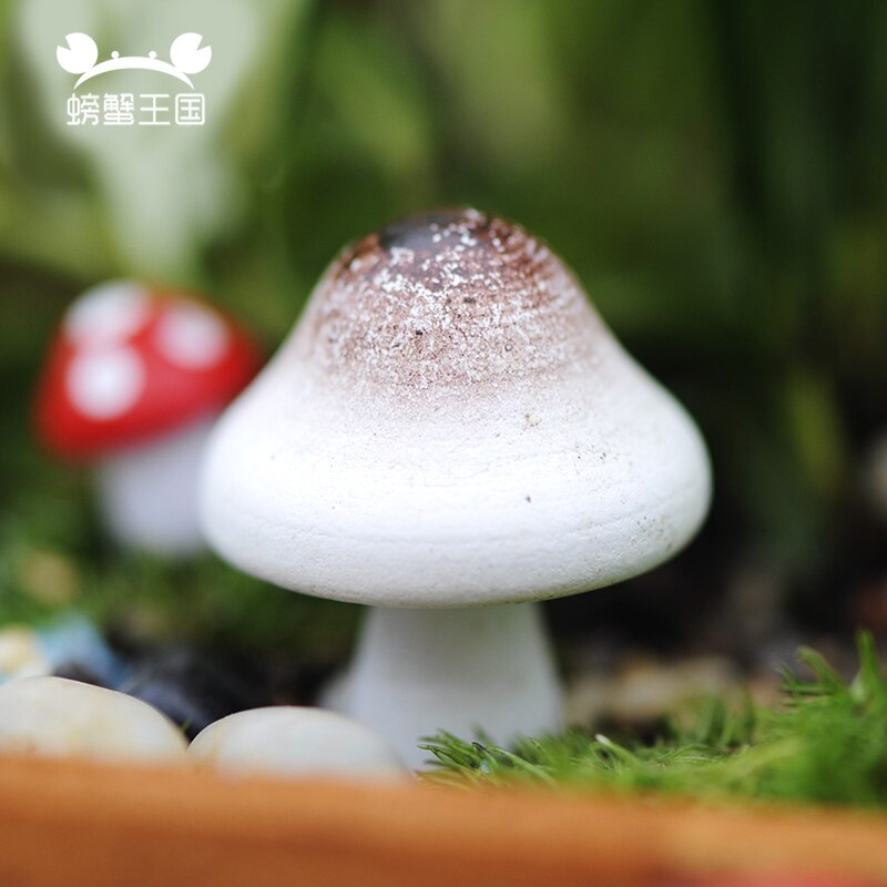 6 stücke Mini Mehrfarbig holz Pilz Modelle Nette Miniaturen Pilz Hause sehr klein Garten tisch Dekoration Mikro Landschaft Miniascape