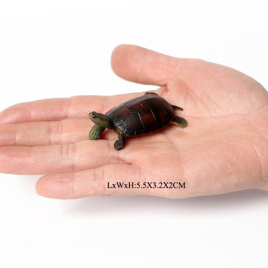 Realistische Plastic Zeeschildpad Levensechte Schildpadden Oceaan Dier Kleine Schildpad Beeldjes Voor Party Favor Decoratie Educatief Speelgoed: NO.16