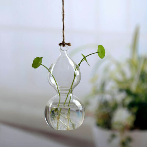 Cristal Claro flor planta soporte colgante jarrón terrario con forma de bola contenedor hogar Decoración florero de decoración para casa