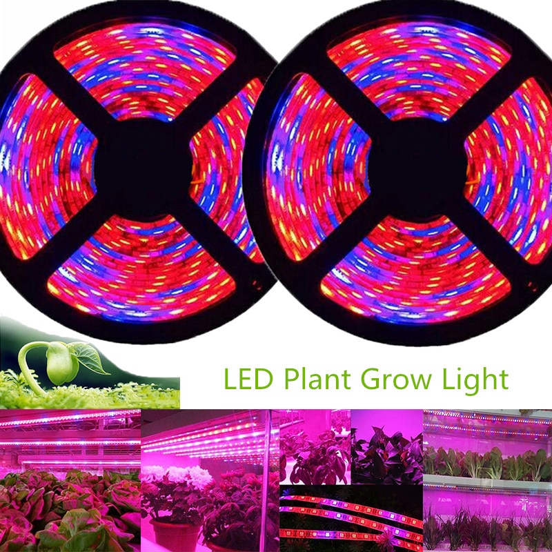 5m led grow light strip fuld spektrum uv lamper til planter vandtæt phyto lampe rød bluetape til drivhus grow telt hydroponic