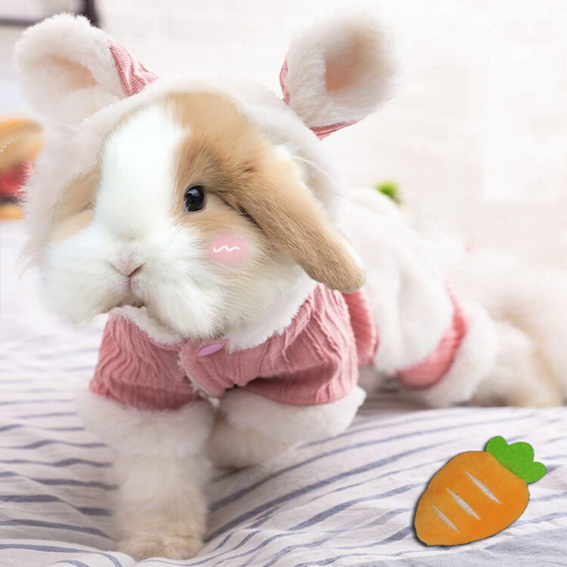 niedlich Hase Kleidung Herbst und Winter Dicke Plus Vlies Warme Kaninchen Kleidung Zwerg Kaninchen Kleine Haustier Kleidung Kleine Haustier Zubehör