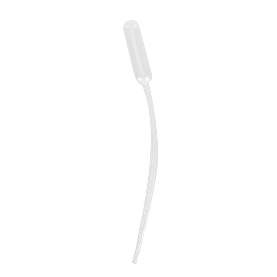 Insect Box Mini Ants Nest Ant Farm Acrylic Gypsum for Young Queens and Small Colonies Ants House Ant Home Insect Cage