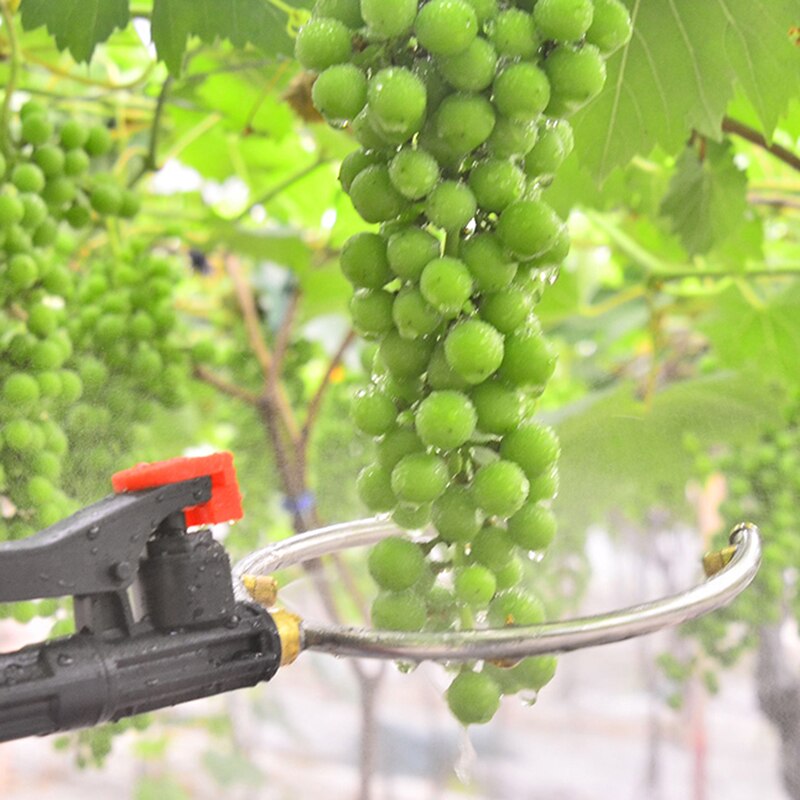 Agricultural Fruit Promoting Tools Pesticide Sprayer Grape Kiwi Swelling Raise Yield Ultra Fine Mist Nozzle High-Pressure