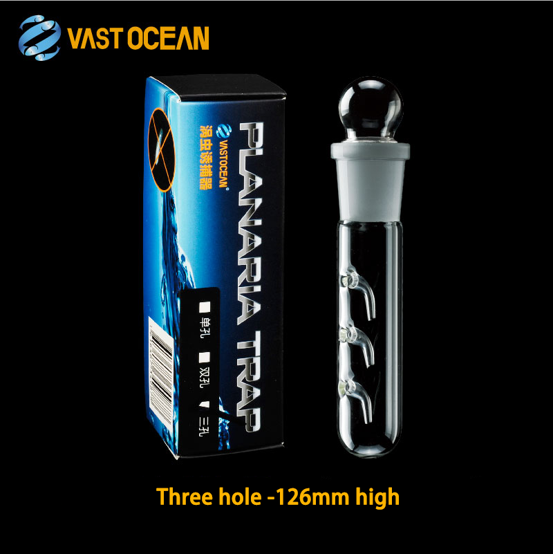 VASTOCEAN – piège planaire en verre pour Aquarium, dispositif d&#39;élimination des vers, des truies, des saucias, des escargots: Three hole