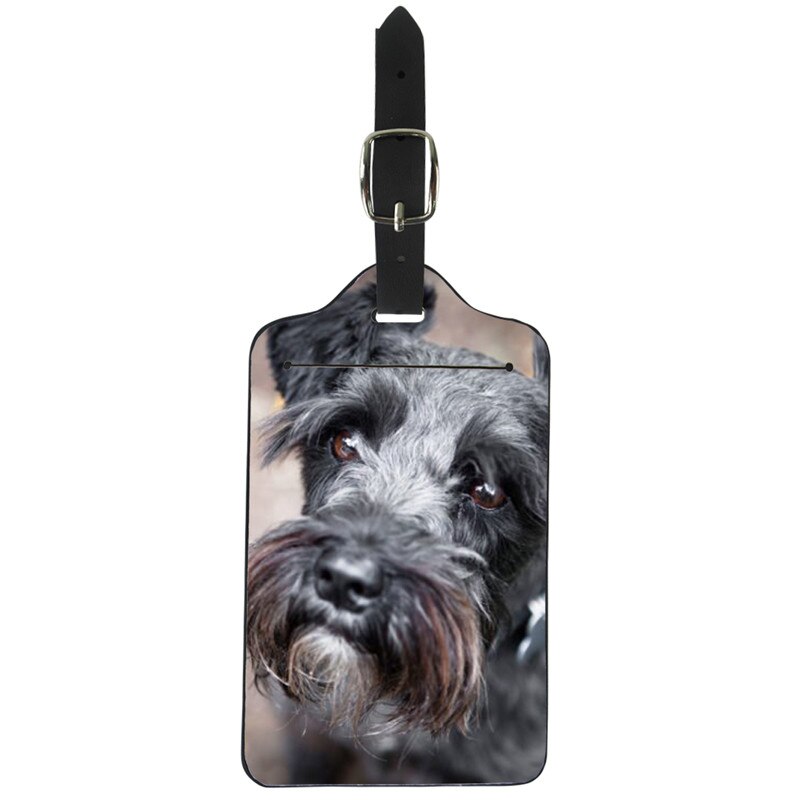 Forudesigns schnauzer hund trykt rejse bagage etiket stropper kuffert navn id adresse tags pu bagage tags rejsetilbehør: Z3007 z 24