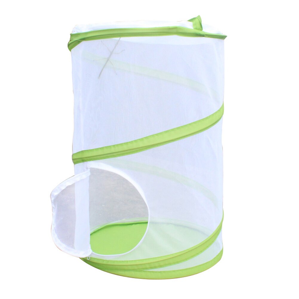 Mini fjäril bostäder livsmiljö insekt nät bur bugg terrarium bönsyrsa stick insekt fjäril cylindrisk popup bur låda: Vit