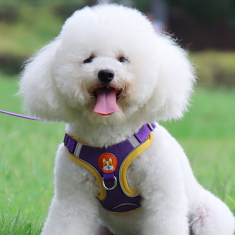 Breathable Small Dog Harness And Leash Cloth Safety Mesh Chest Strap Collar For Kitten Cat Chihuahua Pug Bulldog Cats Vest