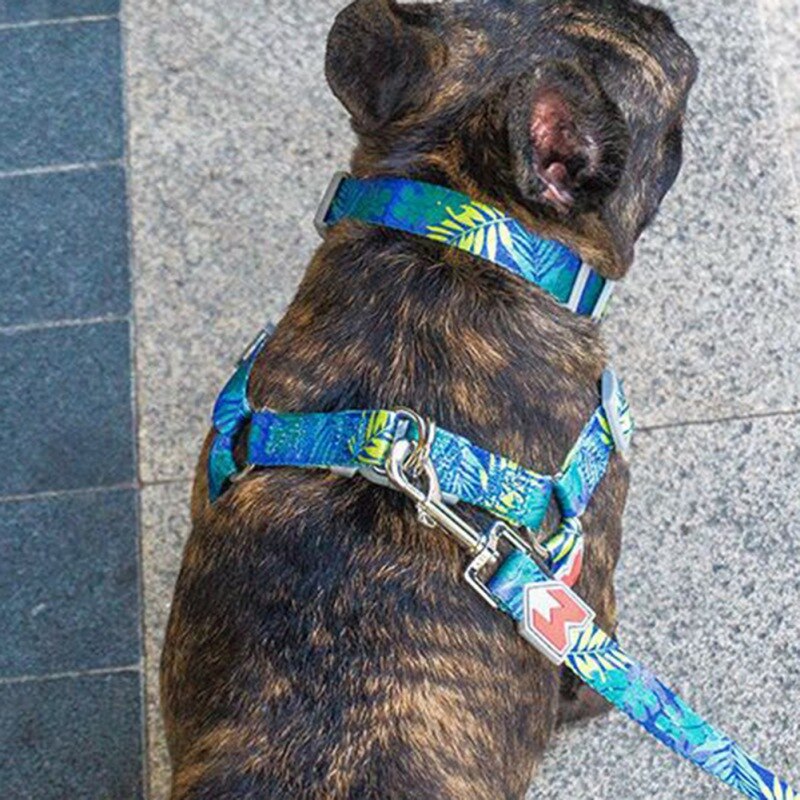 Hund Brustgurt Geeignet Für Kleine Und Mittlere Große Hunde Mit EINEM Drei-Stück Brustgurt