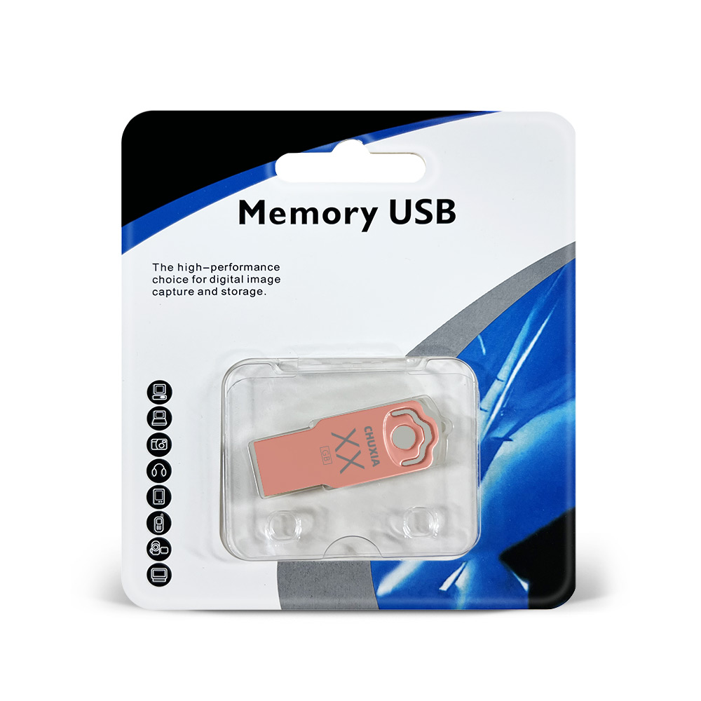 10 SZTUK / LOT Metalowa pamięć flash USB 4 GB 16 GB Pendrive 32 GB Pen Drive 64 GB Pamięć USB 128 GB Darmowa dostawa Ustaw LOGO U Disk: Różowy / 128 m