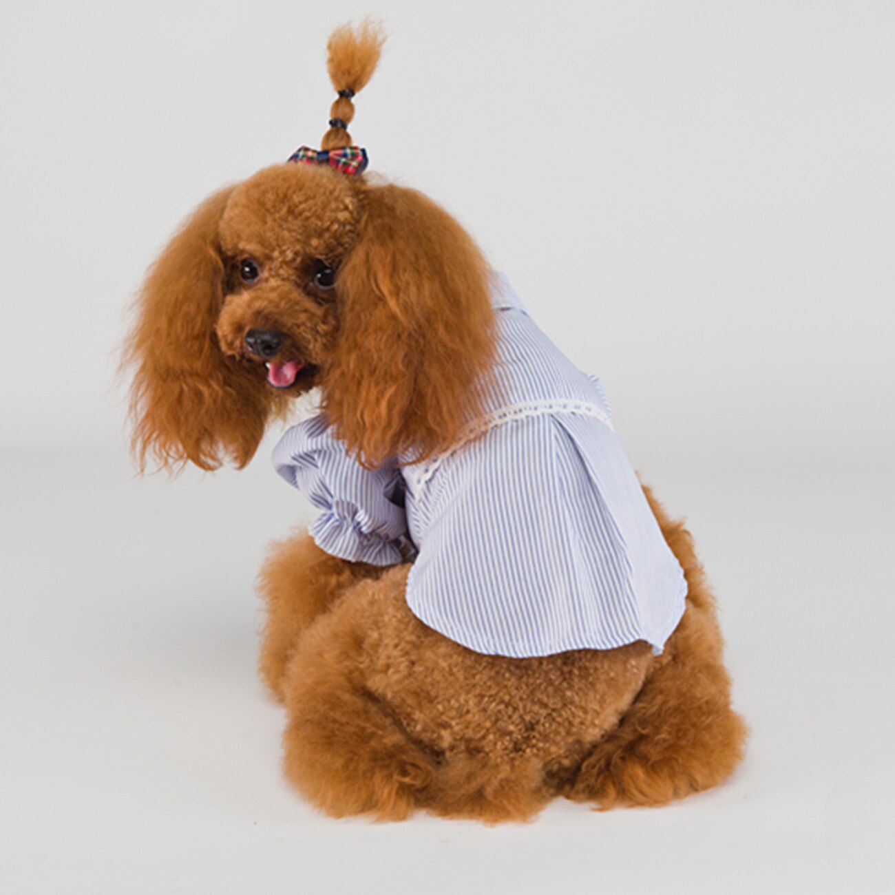 Chemises de luxe à rayures pour chiens et chats, vêtements pour petits chiens, rouge, bleu, à la , printemps été: Bleu / XL
