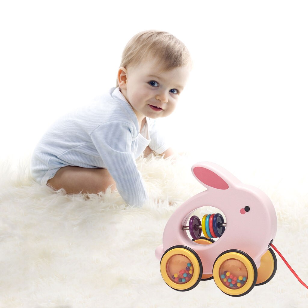 Toddler Push &amp; Pull Toys, Pull-Along Baby Toy with Rustling Wheels, Push and Pull Action, Early Toy, Best Birthday: Rabbit
