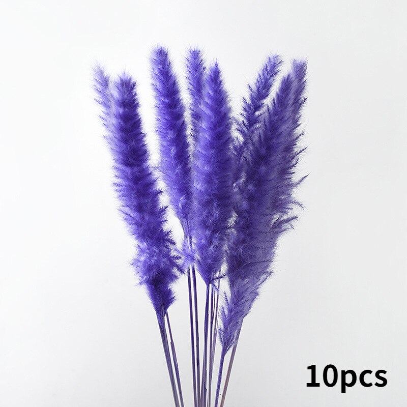 10Pcs Dry Dried Small Pampas Grass Flowers Pantas Artificiales Para Decoracion Real Plants Home Decor Wedding Decoration: purple