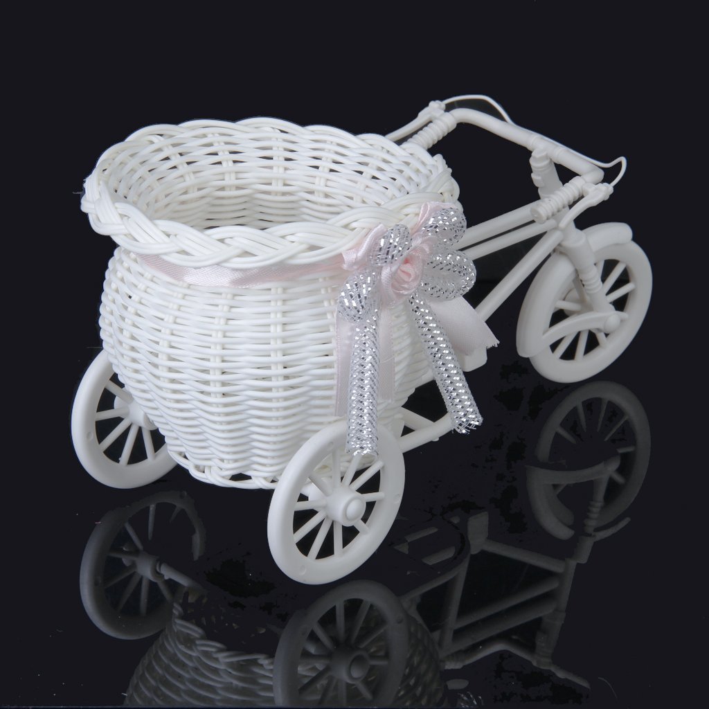 Felenny 3 Tier Plantenstandaard Metalen Fiets Driewieler Planter, Plantenplank voor Binnen en Buiten Bloemen Bloem Plant Stand Houder Handgeschilderde Outdoor Tuin Patio Decor