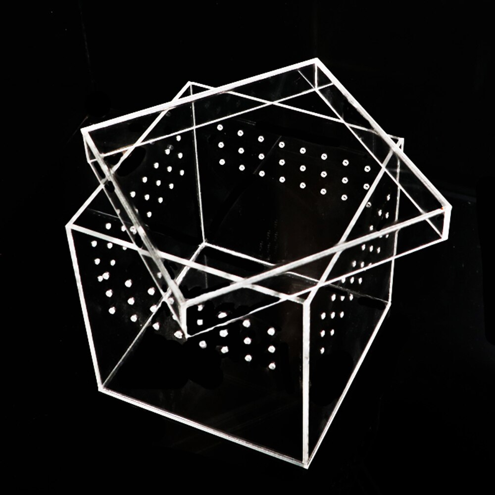 Plastic Reptiles Living Box Transparent Reptile Terrarium Habitat For Scorpion Spider Ants Lizard Breeding Feeding Cases