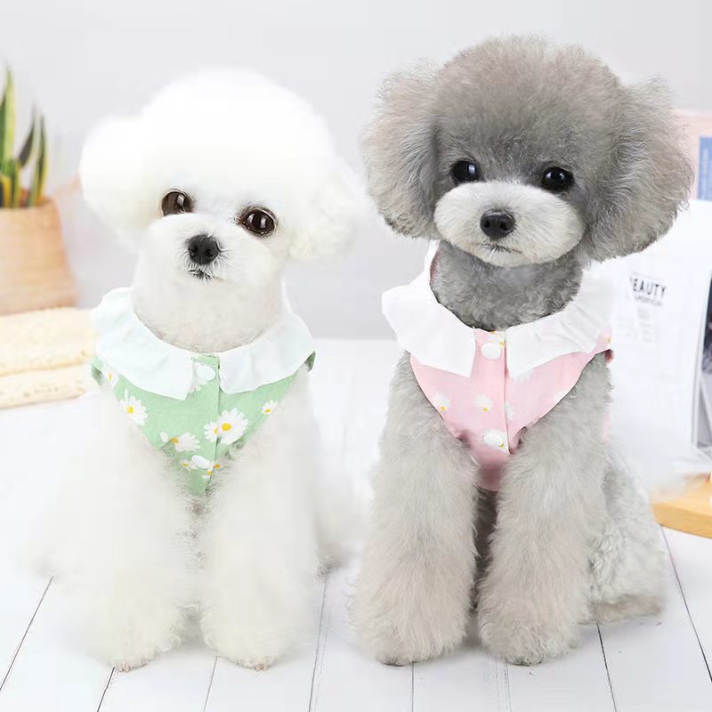 Ubranka dla psów letnia jesień cienki dżins spódnica z pierścieniem trakcyjnym dla małych psów kot teddy buldog francuski Pomeranian pies kamizelka